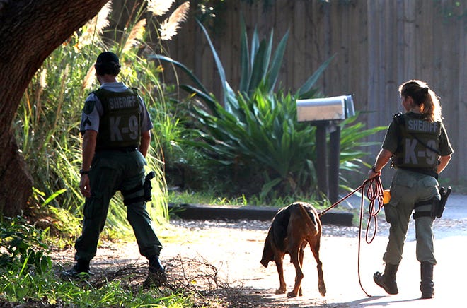 St. Johns County Sheriff's Office Cpl. Greg Mullenix, left, and Deputy Melanie Russell use Kahlua the bloodhound to track a possible burglary suspect on Sevilla Street in St. Augustine Beach on Friday morning. By DARON DEAN, daron.dean@staugustine.com