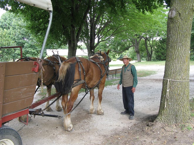 Horses and a guide await visitors to tour the reconstructed 1844 Nauvoo, Ill.