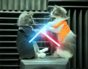 Funny cat video meme: Jedi Kittens