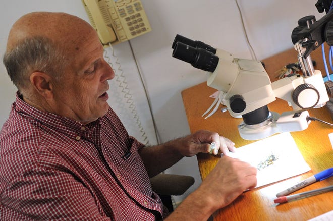 Wayne Andrews, superintendent of the Bristol County Mosquito Control Project, looks through a microscope in his office in Taunton on Tuesday, September 6, 2011, at a group of mosquitos he and his team caught and froze to test for EEE and other viruses.