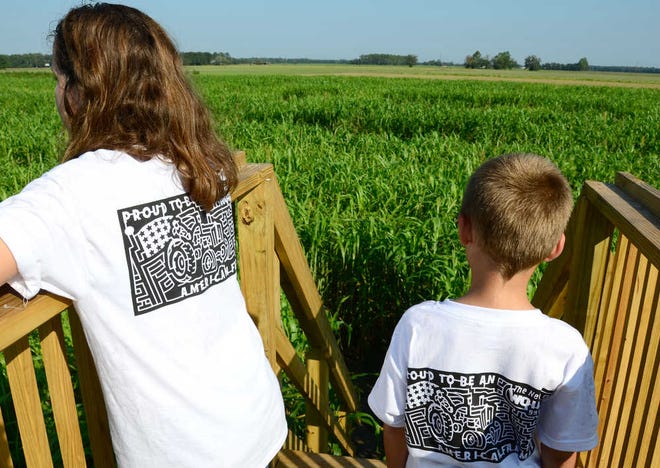 Cousins Delaney Graff, 9, and Gavin Losco, 7, look over a maze of sorghum growing on their grandparent's farm. The design on the back of their t-shirts is a map of the maze. By PETER WILLOTT, peter.willott@staugustine.com
