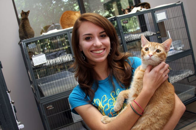 Ponte Vedra High School senior Rachel Batton, 17, holds Gingersnap, a male cat up for adoption at Katz 4 Keep. Batton volunteers at the rescue shelter and has also started an Operation Alleycat club at her school to help homeless cats around the community.