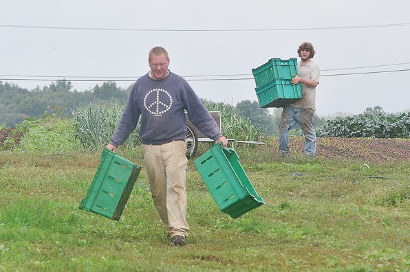 Andy Fellenz and his son Erik Fellenz carrying crates as they spend the day harvesting crops at Fellenz Family Farm in Phelps on Monday. t