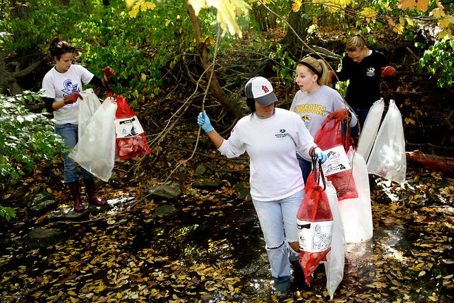 From left, Kristen Eusor, Kara Azotea, Kristen German and Clarissa Grego wade through the Hinkson Creek looking for trash. Saturday marked the annual Hinkson Clean Sweep, during which nearly 500 volunteers helped clean up the creek at eight different sites in Columbia.