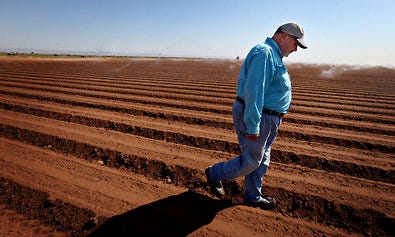 Al Kalin in a field on his farm in Southern California's Imperial Valley. A program offers farmers money to keep land fallow and divert water to cities, but his family has chosen not to participate.