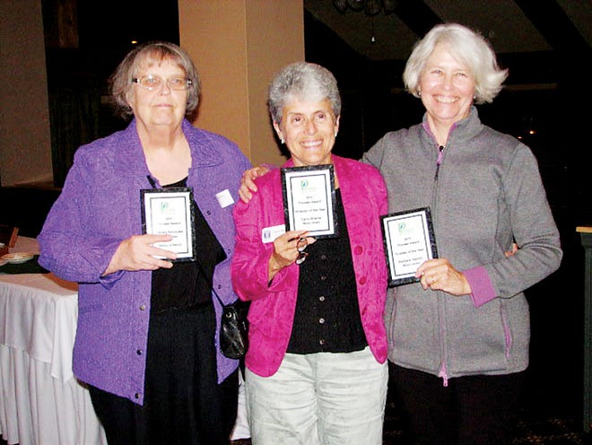From left, Barbara Henry, Carol Shama and Barbara Hamlin were awarded at the Pioneer Library System's annual meeting.