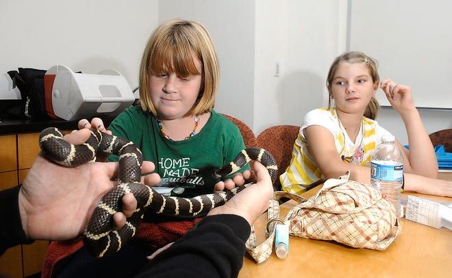 Andy George, a doctoral biology student at the University of Missouri, shows a California king snake to Two Mile Prairie students Riley Hartwick, 9, left, and Rachel Alvarez, 9, Friday at the Show Me Nature Camp on the MU campus.