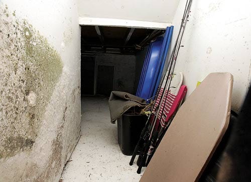Photo by Tracy Klimek/New Jersey Herald 
Mold is seen in the storage space in the public hallway shared by two Montague townhouses.