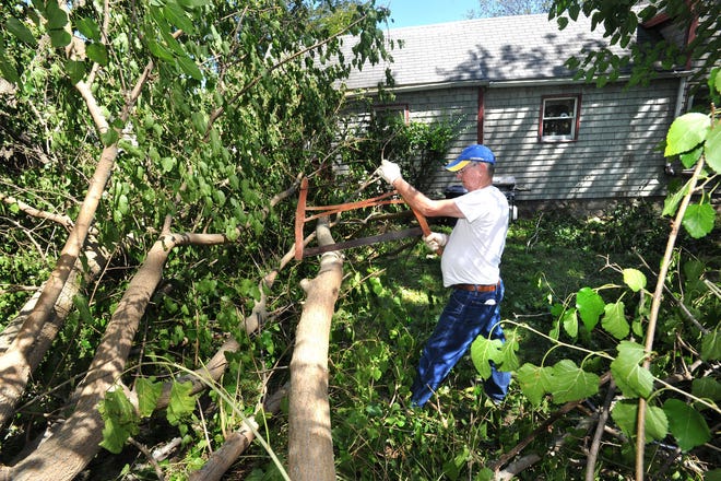 Al Marshall cuts a tree that fell in back of his Essex Street home the day before due to Tropical Storm Irene in August.