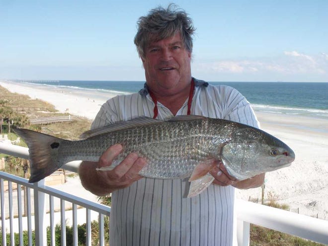 Bill Parker caught this redfish in the St. Johns River in September. Trophy shelf.