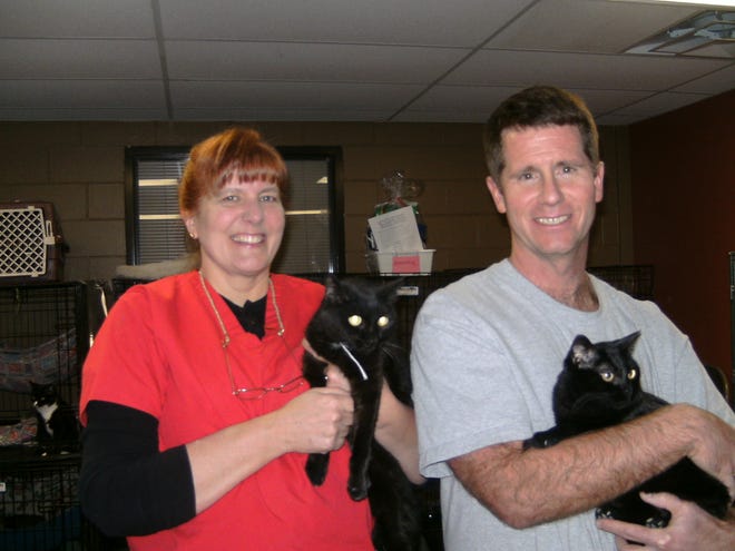 Volunteers Sharon and Don Brunner show two of the hopefuls - Ethel and Laura. Sharon and Don regularly work with cats to socialize them, take photos, and enter cats on Petfinder.com.
