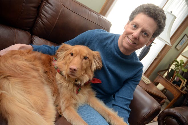 Pursuit, a Nova Scotia duck-tolling retriever, enjoys relaxing with his owner, Kim McLean of Franklin, yesterday. Pursuit suffers from epileptic seizures.