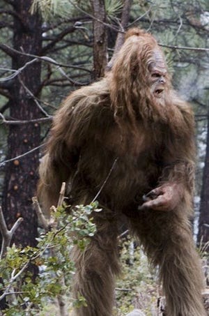 • Madison Avenue wades into the Bigfoot debate with this cool hominid in a TV ad for beef jerky.