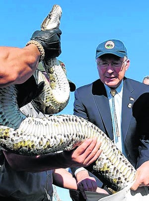Secretary of Interior Ken Salazar helps National Park Rangers as they 
prepare to put a 13-foot python in a bag in the Everglades on Tuesday. 
Salazar announced a ban on importation and interstate transportation of four 
giant snakes that threaten the Everglades.AP PHOTO / ALAN DIAZ