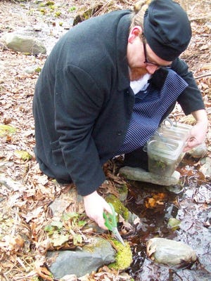 Chef Christopher Bates cuts moss as a bed for eel he will cook later.