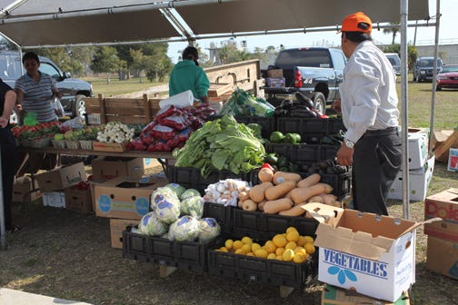 Lincolnville market: The new Lincolnville Farmers Market will be from 11 a.m. to 3 p.m. every Sunday at Eddie Vicker's Park, 399 Riberia St., downtown St. Augustine. Fruit and veggie vendors, jewelry, artists, prepared food, honey and cheese, arts and crafts and other items will be available. The event is sponsored by the Lift up Lincolnville Revitalization Corporation. Admission is free. Call 806-4508. This photo shows a local produce vendor at a recent Lincolnville market.