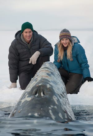 Small-town news reporter Adam Carlson and animal-loving volunteer Rachel Kramer (Drew Barrymore) greet one of the trapped California gray whales in the rescue adventure "Big Miracle," inspired by a true story.