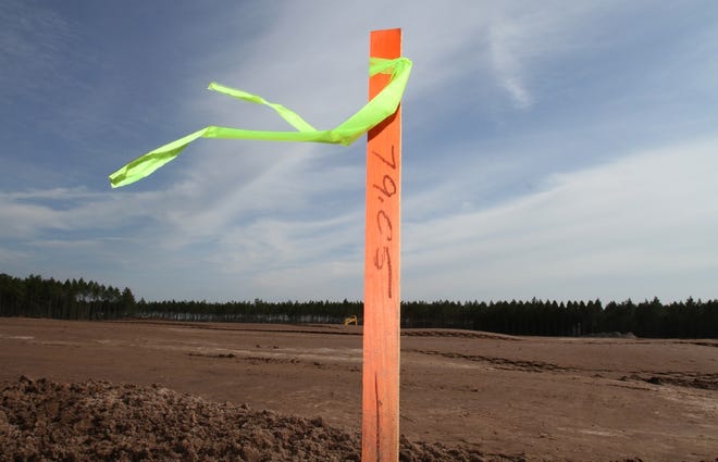 A surveyor's marker indicates a boundary for the foundation of a 67,000-square-foot grass-fed-beef processing facility on land that Frank Stronach purchased off County Road 315, north of Fort McCoy. Stronach has purchased almost 24,500 acres in Marion County during the past two years, making him the largest landowner in the county. He now owns a total of 29,000 acres in Marion County and an additional 36,000 acres in Levy County.