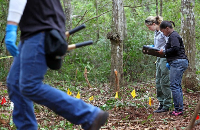 Recruit Gina Jean-Marie, right, records data as St. Johns County Sheriff's Office Crime Scene Technician Stefanie Elliot surveys the location where human skeletal remains were discovered Sunday, as the investigation continued in a remote wooded area off of Country Road 13 in South West St. Johns County on Tuesday morning, February 14, 2012. BY DARON DEAN, daron.dean@staugustine.com