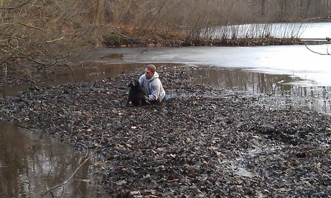 Garrett Reid pulls Riley, a 10-year-old black Lab from a Sudbury pond yesterday.