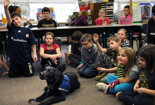 Students at Clara Macy Elementary School in Bellingham follow the progress of NEADS service dogs
26-week old Maxwell waits for a command as trainer Christine Rossetti of Millis answers third graders' questions.