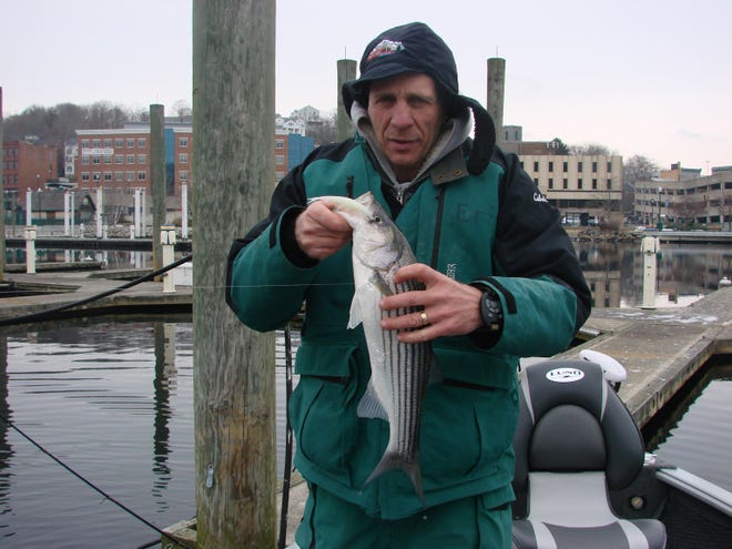 Captain Eric Covino holds a typical Thames River winter striper, a fish of 14 to 20 inches. Winter stripers are fun on light tackle, and to many fishermen they’re a preferred alternative to pulling fish through a six-inch ice hole.