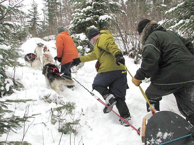 Veterans on an Outward Bound course help a team of sled dogs pull a 500-pound sled up a steep hill in the Boundary Waters Canoe Area Wilderness in Minnesota.