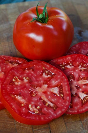 Ramapo is a fabled hybrid variety that is too thin-skinned for farmers but highly recommended for home gardeners. Flavorful tomatoes that are readily found at nurseries in Mid-Missouri include Mortgage Lifter, Celebrity, Better Boy and Arkansas Traveler.