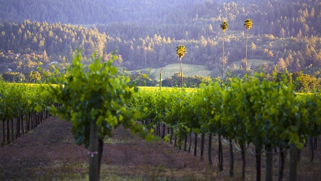 Three Palms Vineyard in Napa, Calif., is among the partners of Duckhorn Winery, which produces Bordeaux varietal wines.