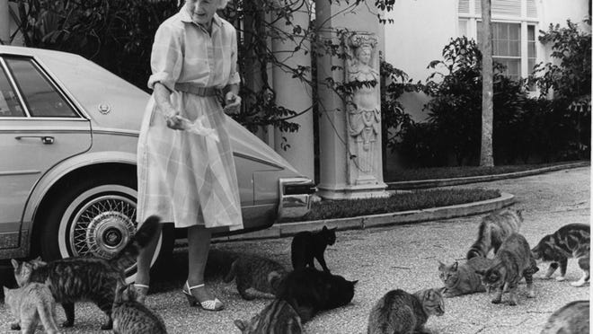 Kay Graham feeds cats on Whitehall Way in 1984.