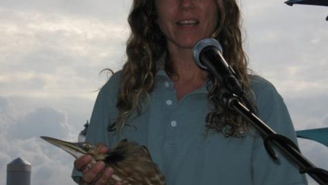 At the start of the tour, Christen Mason, director of education and biology at the Busch Wildlife Sanctuary in Jupiter, released a bittern, a type of heron, into the air, at a dock along the West Palm Beach waterfront. The bird had recovered from cuts to a wing and leg caused by its entanglement in fishing line, Mason said.
