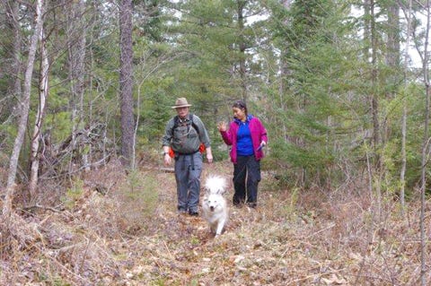 On April 14, the Hiawatha Shore-to-Shore chapter of the North Country Trail Association will celebrate with their annual Hike and Dinner. The day will begin at the Trout Brook Pond Trailhead at noon. (Above) HSS Chapter members Bob McNamara and Elisa Pacheco, along with Pacheco’s four-legged friend, hike a portion of the trail in the Eastern Upper Peninsula.