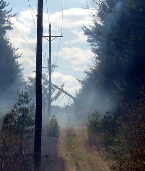 Submitted Photo - Strong winds caused a tree to fall on power lines, resulting in a small fire in the Delaware Water Gap National Recreation Area.