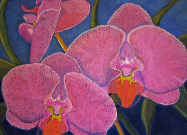 Moth Orchid, pastel, by Suzanne Mamedalin.