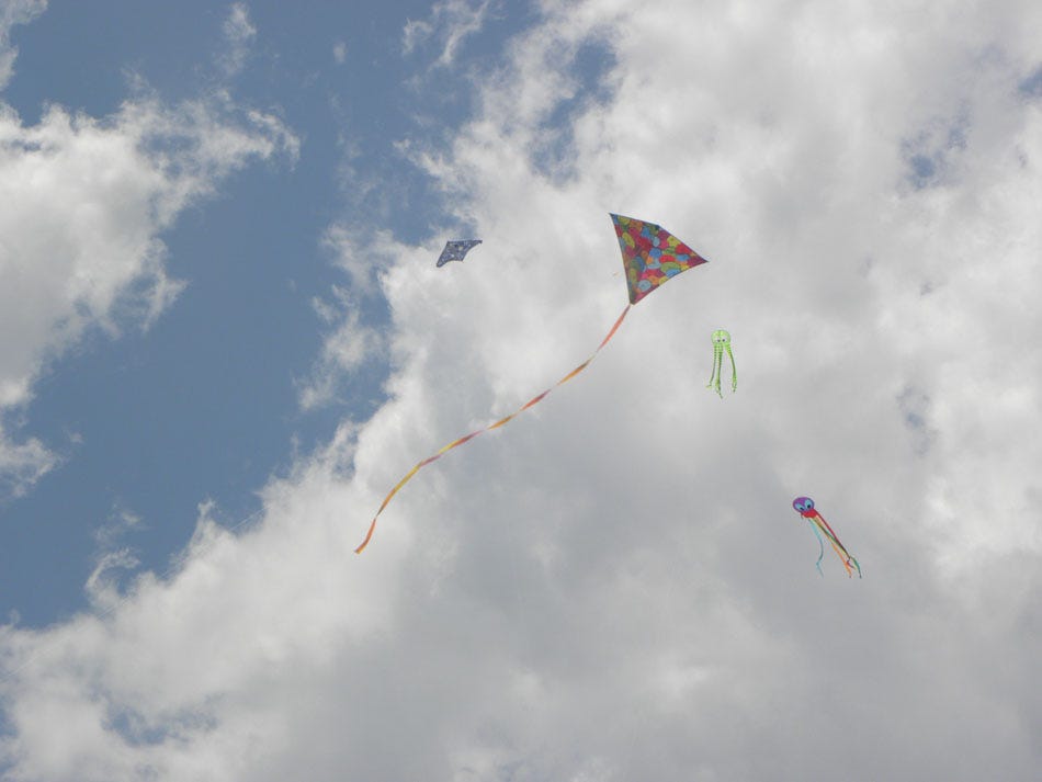 VIDEO: Tybee Island Kite Flying Festival