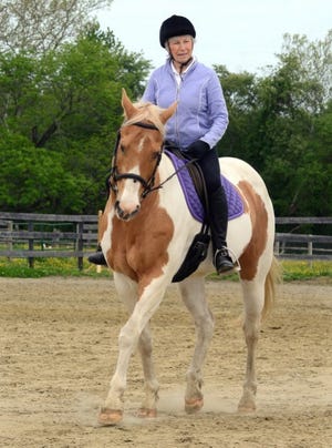 Toni Frary, 76 of Medford works her horse, Something Special, a twenty-four year old registered Quarter Horse Paint on his dressage moves inside the ring at Flora Lea Farm in Medford.