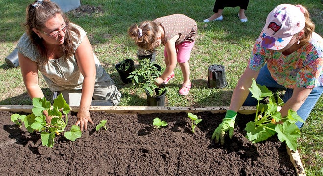 Rachelle Roper, founder of Feed the Need Garden, left, plants a 4X8 garden on the back side of the Blessed Trinity's Elder Care facility in Ocala in this May 7, 2010 file photo.