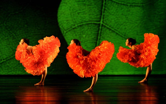 MOMIX Botanica, a theatrical dance company, will perform at the Phillips Center on Jan. 24, 2013. (Courtesy photo by Max Pucciariello)