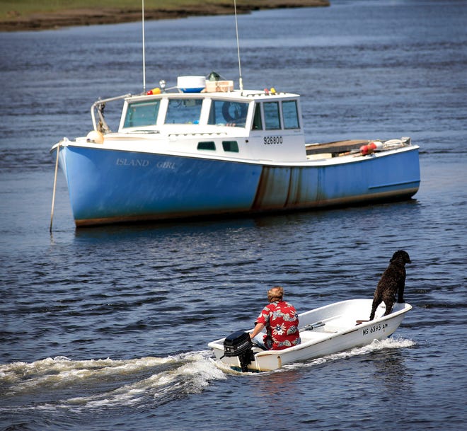 On the North River in Marshfield, man's best friend leads the way for a boating heading out to a larger boat on Thursday August 18, 2011. Greg Derr/The Patriot Ledger