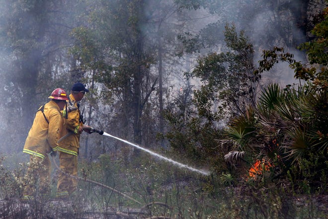 Alachua County firefighters work at the scene of a forest fire on Friday northwest of Waldo, Fla.