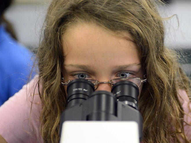 Zoe McDonald, 10, looks at a juvenile starfish in the teaching lab area at the Pritzker Marine Biology Research Center during an open house at New College of Florida in Sarasota.