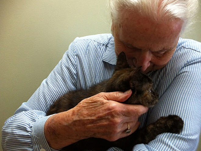 After the loss of her cat, Pam Stone's 90-year-old mom adopted a new cat last week.