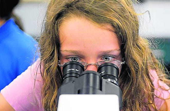 Zoe McDonald, 10, looks at a juvenile starfish in the teaching lab area at 
the Pritzker Marine Biology Research Center during an open house at New 
College of Florida in Sarasota. At right is a triggerfish.
STAFF PHOTOS / THOMAS BENDER
