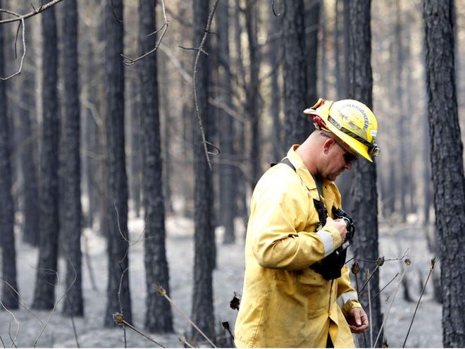 Chad Williamson walks past burnt trees in a forrest after it had burned northwest of Waldo on Saturday, May 26, 2012 in Gainesville, Fla. The crews were widening containment lines and monitoring the weather to help keep the fire from spreading.
