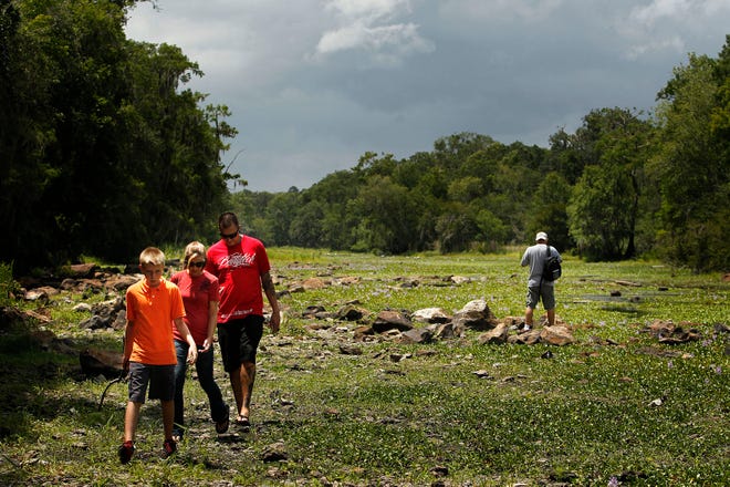 The Montiel family, Josh, Holly and Kyle, 11, of High Springs walk the riverbed of the Santa Fe River at the High Springs Boat Ramp off U.S. 441 on Tuesday. At back, Jon Rhoads of Alachua photographs some deer feeding.