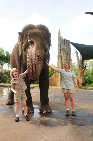 This undated image provided by "Growing Up Wild", shows Robert Irwin, 8, left and Bindi Irwin,13, during the taping of an episode of "Growing Up Wild" at the Australia Zoo, in Brisbane, Australia joined by an Asian elephant. "Growing Up Wild," from Fremantle Media, can be seen exclusively on The Pet Collective, a new YouTube channel.