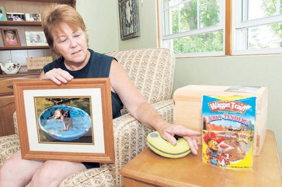 Rita Desollar of Pekin is shown with a picture of Heidi, her 8-year-old German sheperd. The dog died Memorial Day from eating chicken jerky treats that were made in China. Josh Bradshaw / Times staff
