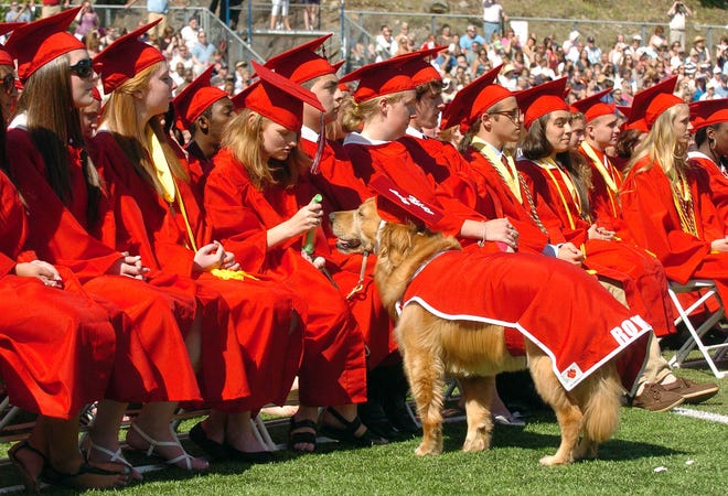 Norwich Free Academy graduate Danielle Ciccotti sprays water of her service dog Rover who helps her keep her balance Friday during commencement exercises.
