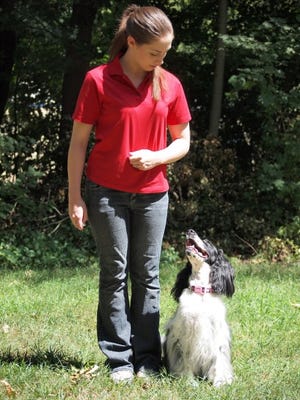 Katherine Ostiguy is a professional dog trainer and lifelong Randolph resident. Her blog Dog Savvy will offer pet owners valuable training tips and advice.