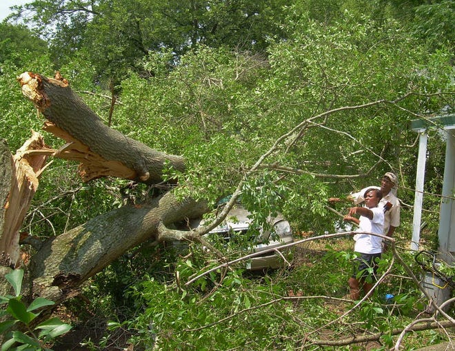 Joyce Erwin and her father David Sims Sr. survey the damage after a tree fell on two family cars off of Old Winterville Road in Athens, Ga. on Monday, July 2, 2012. Thunderstorms are forecasted throughout the week after record breaking temperatures over the weekend.  Wayne Ford/Staff (OnlineAthens/Athens Banner-Herald)
